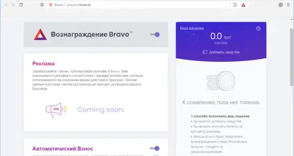 Brave screenshot 4