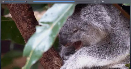JRiver Media Center screenshot 3