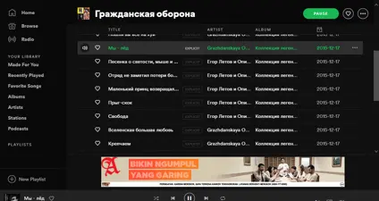 Spotify screenshot 2